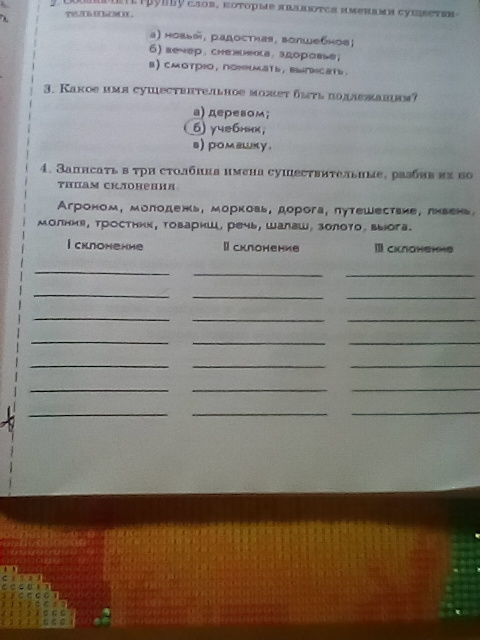 Имена в столбик. Записать 3 склонения столбика имена существительные. Записать в столбик имена существительные. Запиши имена существительные в 4 столбика. Записать в 3 столбика имя существительное их.